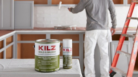 Mold & Mildew primer being applied to kitchen