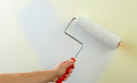 Person applying primer to a wall