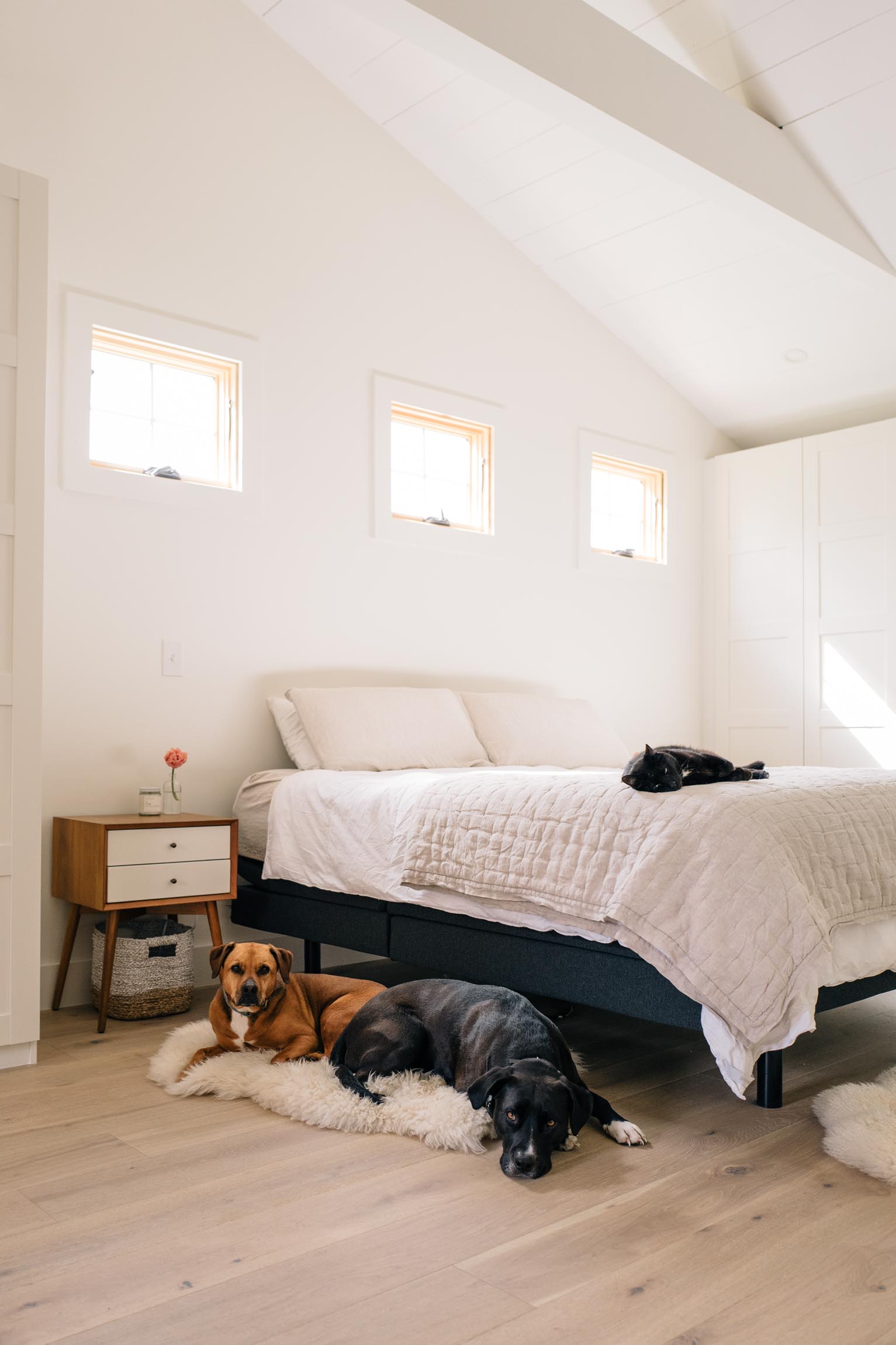 Bedroom with natural light and white painted walls