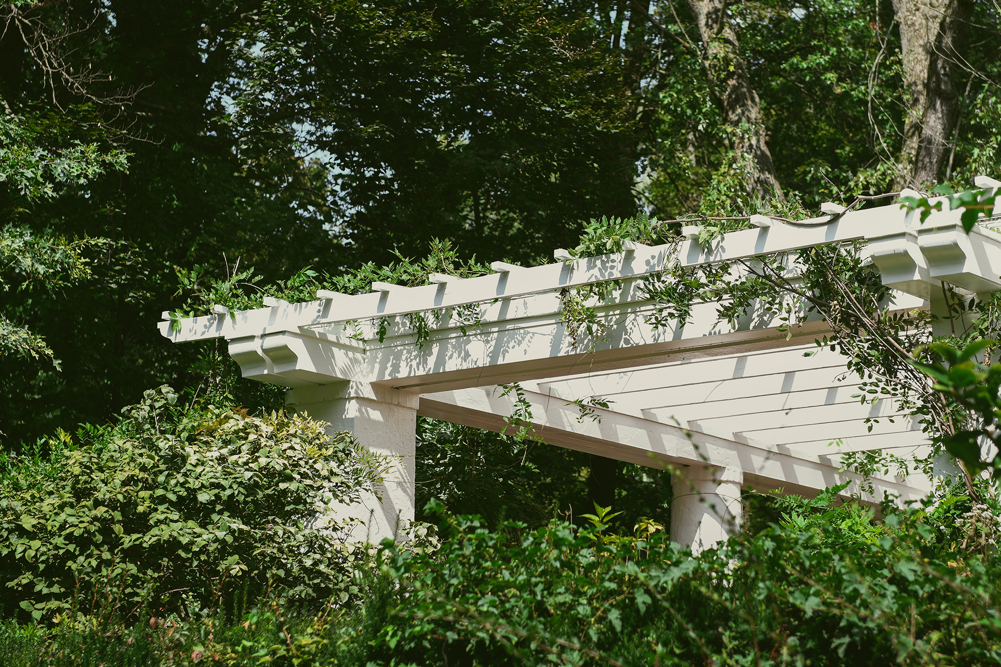 Image of the finished pergola for the KILZ and Leanne Ford Restoration project